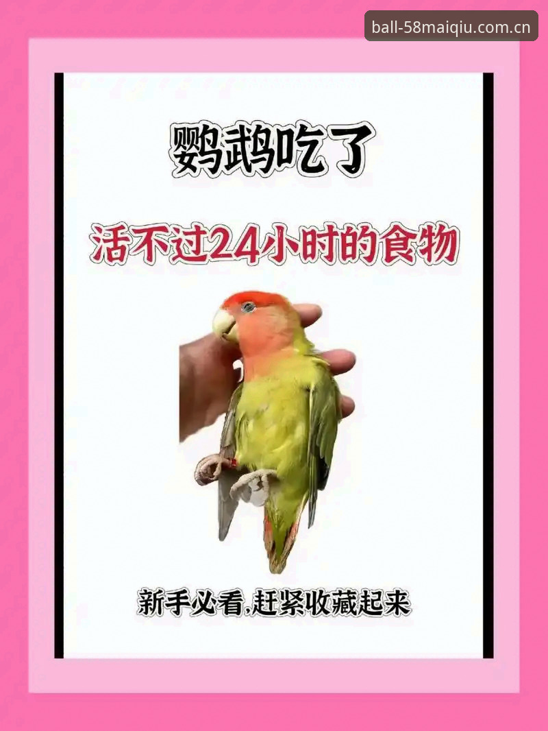 新手必看!5个步骤教你快速上手58买球体育平台的在线投注体验